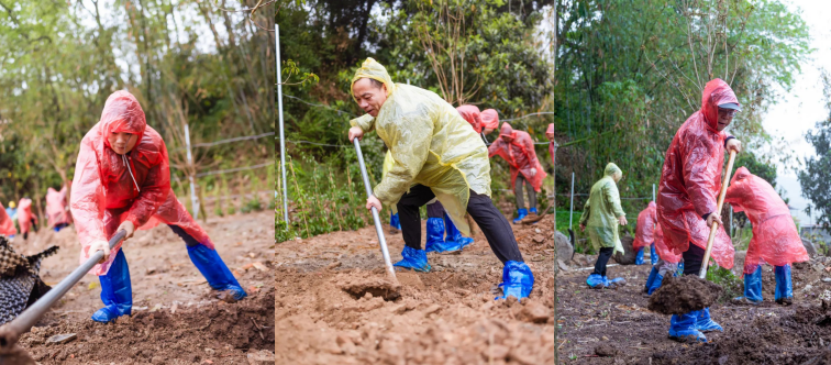 1743576376134973.jpg 1743576406486.jpg