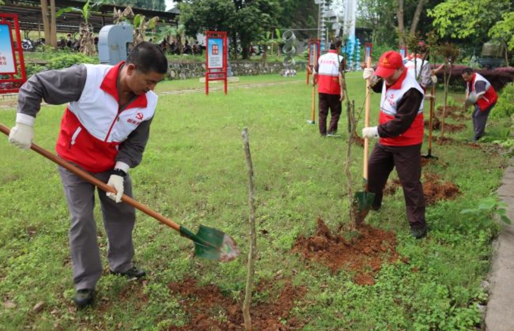 宏大韶化開展植樹活動_副本.jpg