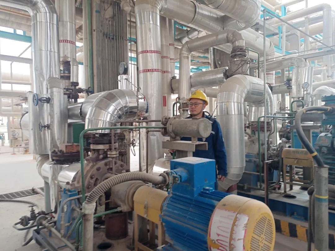 1753173919116904.jpg 8.jpg